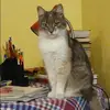 Отзыв от Кристина Дорохова